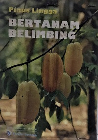 Bertanam Belimbing