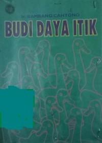 Budi Daya Itik
