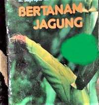 Bertanam Jagung